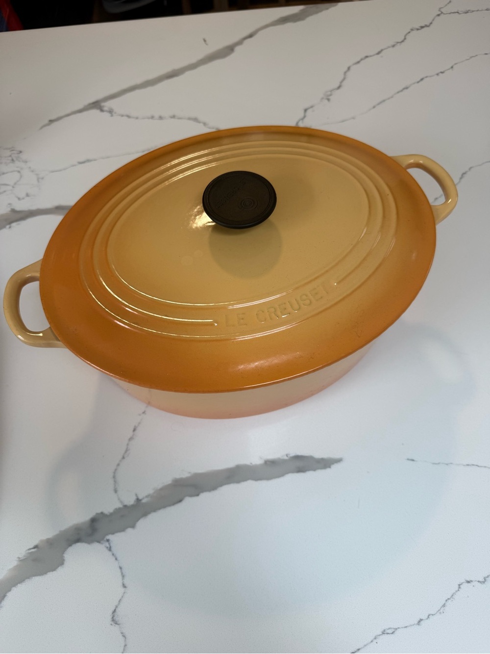 Le Creuset Oval Enameled Cast Iron Dutch Oven in flamme (orange)